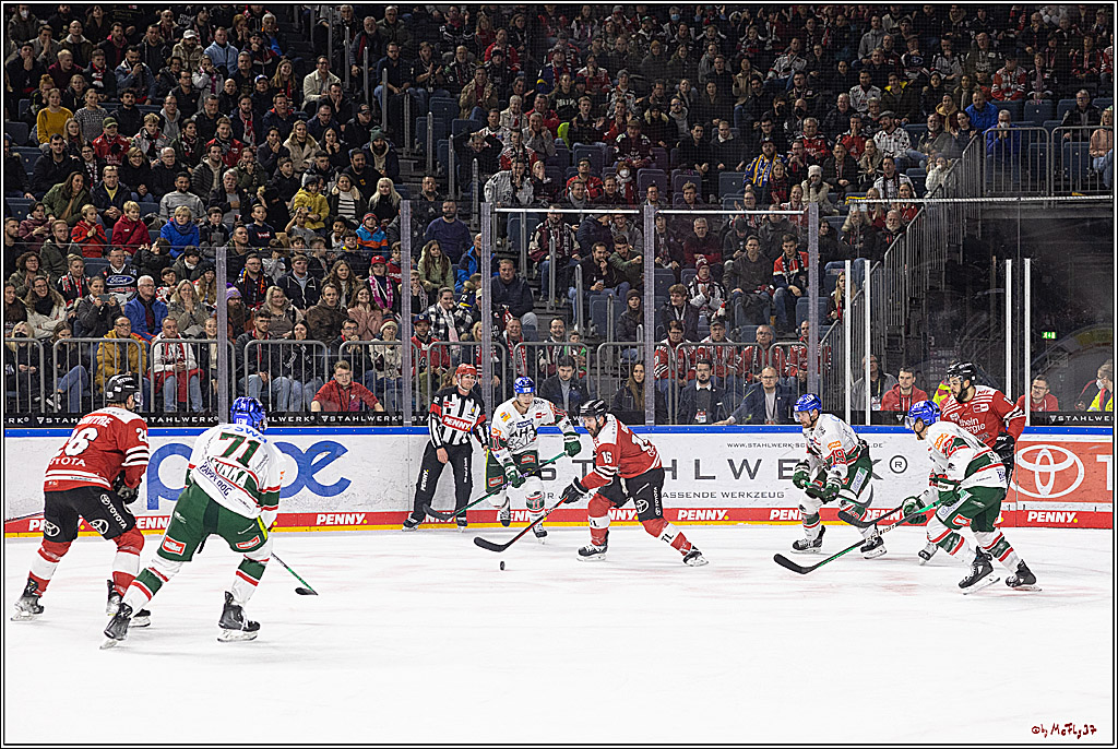 PENNY DEL;  Kölner Haie - Augsburger Panther; Köln, 20.12.2022